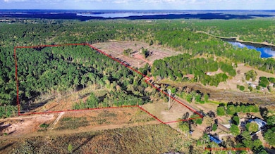 TBD Liberty Rd unit 36.6 ac, Harleton, TX 75651 - photo 7