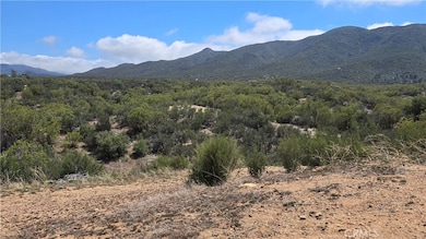 0 La Colina Ln unit SW25102274, Anza, CA - photo 5