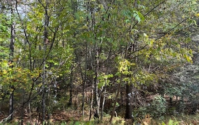 Lt 56,57 Hemlock Dr, Suches, GA 30572 - photo 4