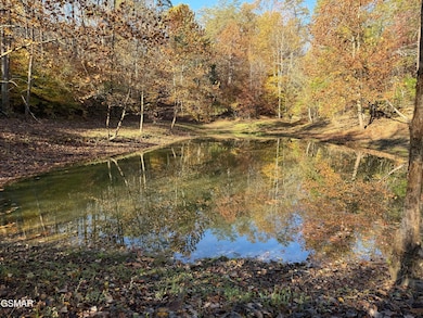 00 Thorngrove Pike, Kodak, TN 37764 - photo 6