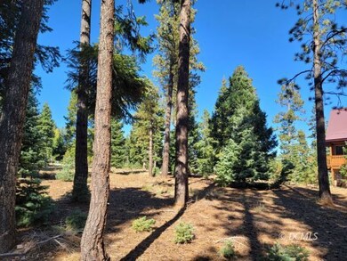 Year Round Access