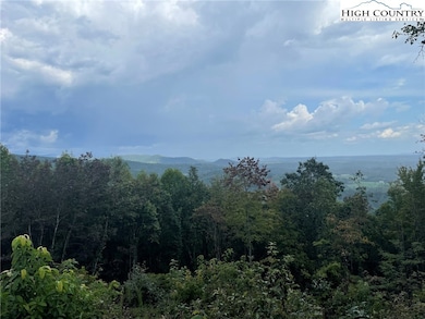 Tract 6 Cabin Creek Rd, Hays, NC 28635 - photo 2