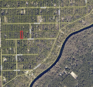 4301 290th Terrace, Branford, FL 32008 - photo 2