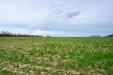 Parcel-B-MSW-Field-View-Neil-Hardcastle-