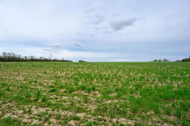 Parcel-B-MSW-Field-View-Neil-Hardcastle-