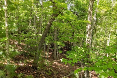 Lot 158 Carriage House Trail, McGrady, NC 28649 - photo 2