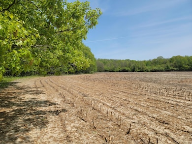 0 Leonard Rd, Nunica, MI 49448 - photo 3