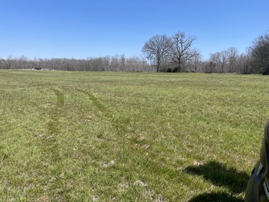 0 Woodbury Hwy unit RTC2369248, Manchester, TN 37355 - photo 2