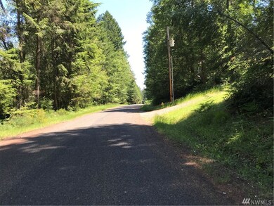 11507 Breaker Way, Anderson Island, WA 98303 - photo 3