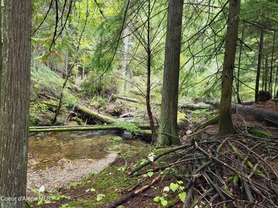 Granite Creek 2