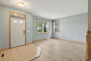 6860 Peony Ln N, Osseo, MN 55311 - photo 6