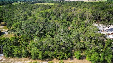 0 Butch Cassidy Trail, Wimauma, FL 33598 - photo 4