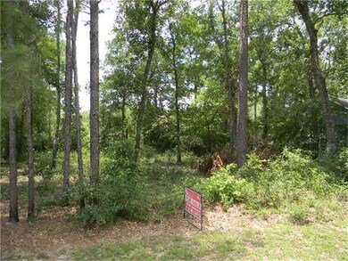 0 Woods Ln, Cleveland, TX 77328 - photo 5