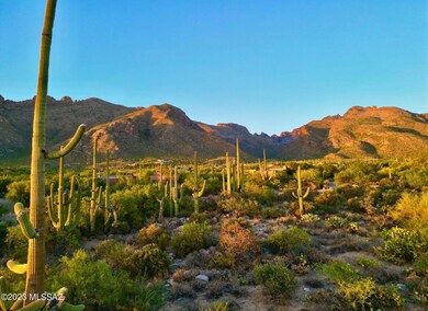 Canyon Spring 2