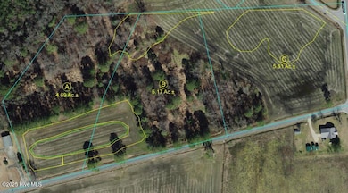 3 Bradshaw St, Clinton, NC 28328 - photo 3