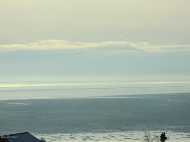 Expansive views1