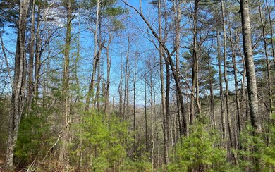 Additional View