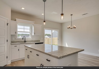 105 Paspalum Ct unit lot 1017, Greenwood, SC 29649 - photo 7