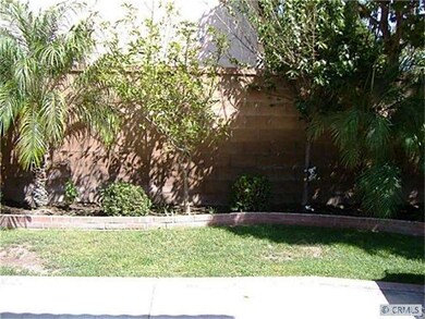Spacious back yard