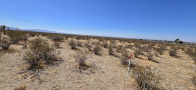 10707 Pearblossom Hwy, Littlerock, CA 93543 - photo 5