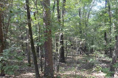 0 Spring Heights, Heber Springs, AR 72543 - photo 2