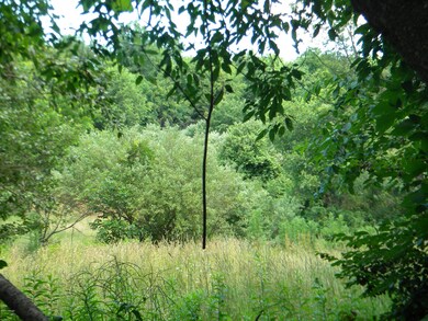 200 BLOCK Gordner Ln, Delaware Township, PA 17756 - photo 4