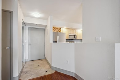 601 W 11th Ave unit 303, Denver, CO 80204 - photo 3
