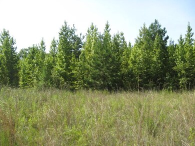 00 Old Savannah Road & Us 280, Ailey, GA 30410 - photo 6