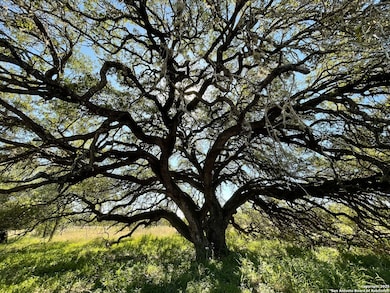 970 Newman Rd, Poteet, TX 78065 - photo 3