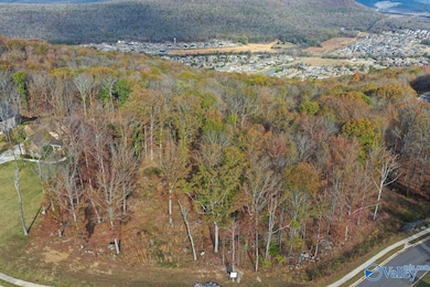 2 Watson Grande Way, Owens Cross Roads, AL 35763 - photo 5