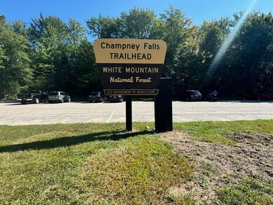 22 von Hippel Ln, Albany, NH 03818 - photo 3