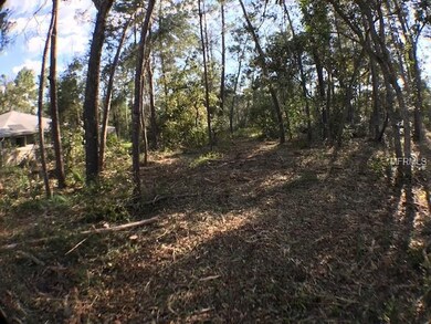 0 SW 169th Place unit G5006292, Ocala, FL 34473 - photo 7