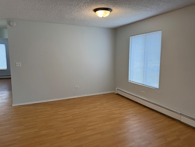 unlisted-address, Aurora, IL 60504 - photo 3