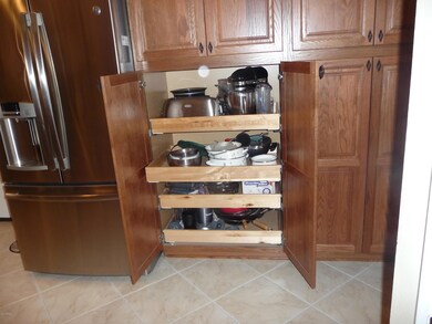 Kitchen Pull-out Shelves