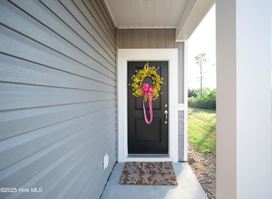 1001 Bourne Dr, Ocean Isle Beach, NC 28469 - photo 4