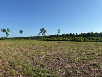 Off Straight Rd unit LotWP001, Oriental, NC 28571 - photo 5