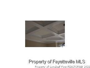 Beautiful coffered ceiling