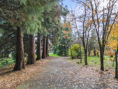 7771 Old Stage Road - 39