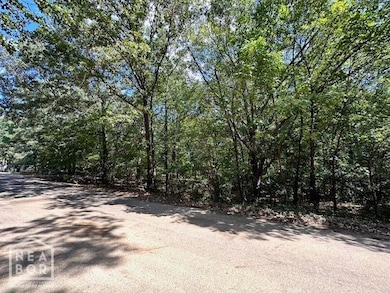 2 Sherwood Oaks Ln, Jonesboro, AR 72404 - photo 2