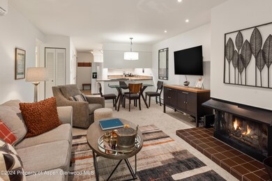 205 E Durant Ave unit 3-F, Aspen, CO 81611 - photo 2