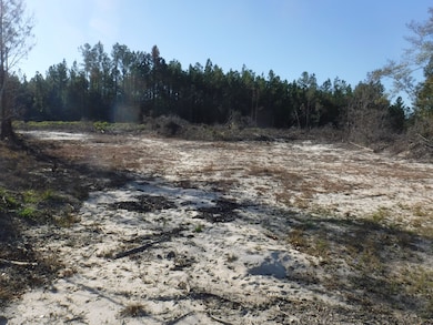 6632-6846 Dixie Hwy, Bradley, AL 36483 - photo 3