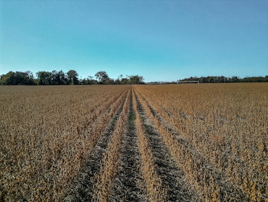 County Road 168, Morgan, GA 39866 - photo 3