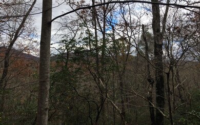 Additional View