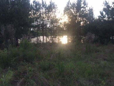 00 High Ridge Rd unit 33, Broxton, GA 31533 - photo 7