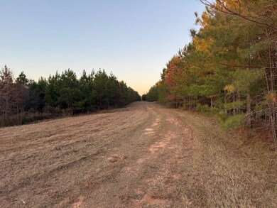 0 County Road 39, Ramer, AL 36069 - photo 7