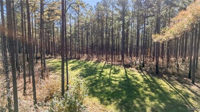 0000 Liberty Bottom Rd, Vernon, AL 35592 - photo 5