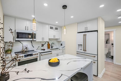 Walton Colonnade unit 14D, Chicago, IL 60611 - photo 2