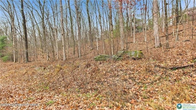 221 Brookdale Dr 221 Dr, Bartonsville, PA 18321 - photo 2