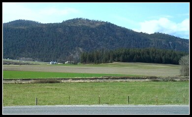 Views just across road
