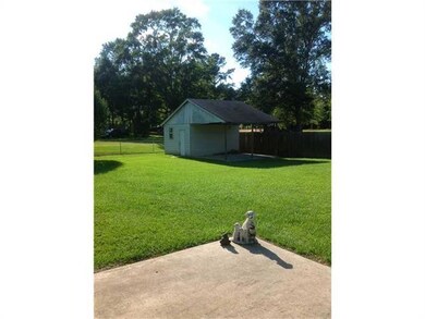 Backyard.